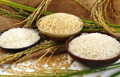 Thủ tục nhập khẩu gạo và xuất khẩu gạo